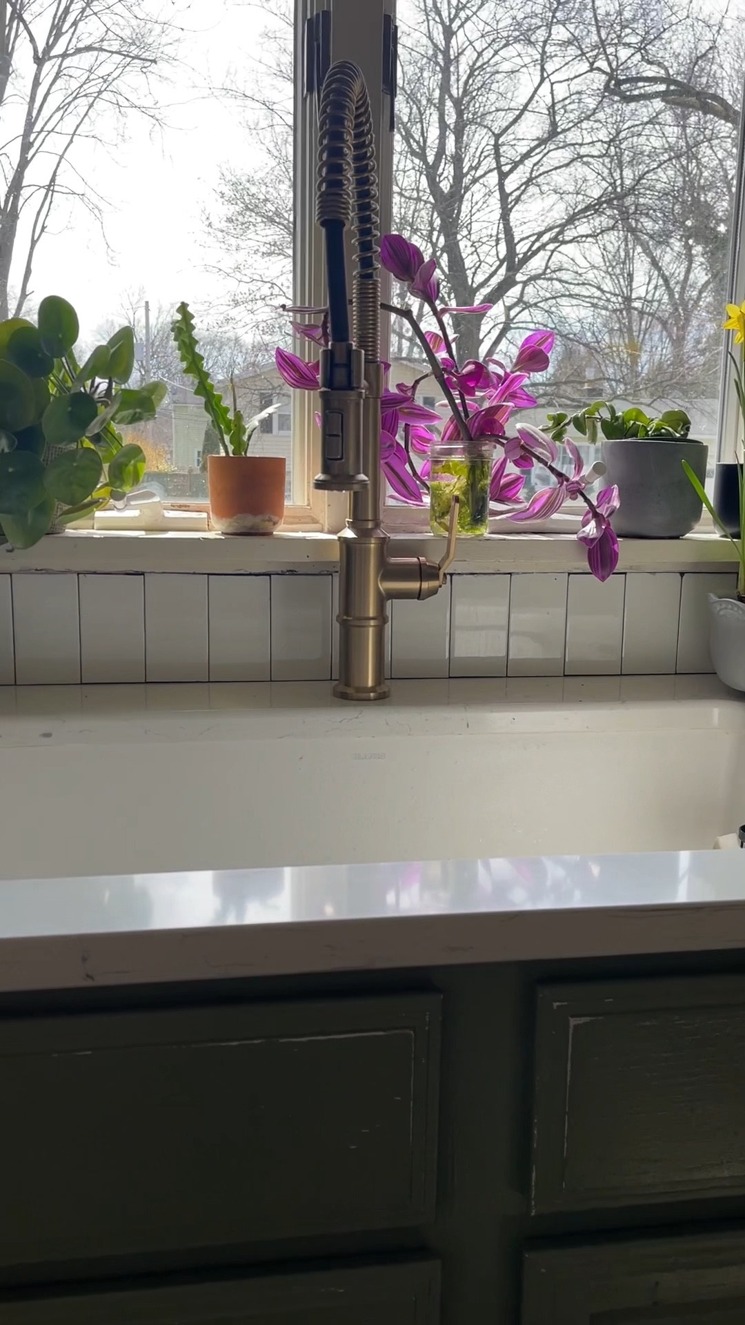 Plants around my house



#LTKSeasonal #LTKhome #LTKstyletip