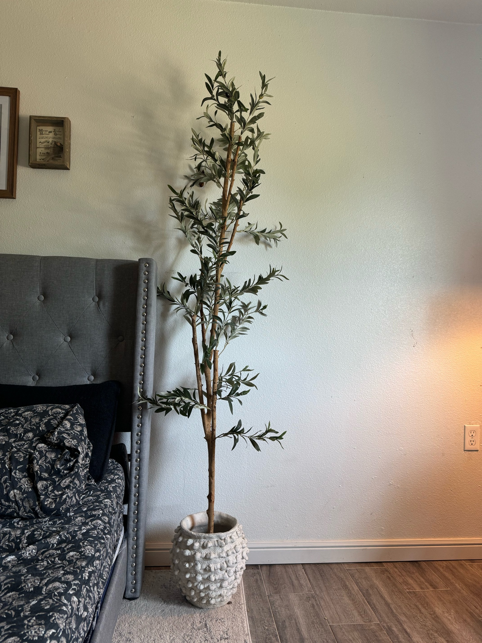 Spring home refresh ft the infamous anthropology case and olive tree combo ✨ #home #homedecor #pot #anthropology #springhome #bedroom #bedroomdecor

#LTKSeasonal #LTKhome #LTKfamily
