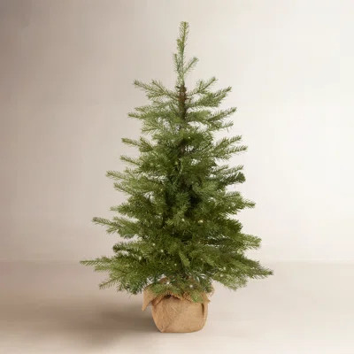 3ft. Nordic Spruce Tree with LED Lights | Wayfair North America