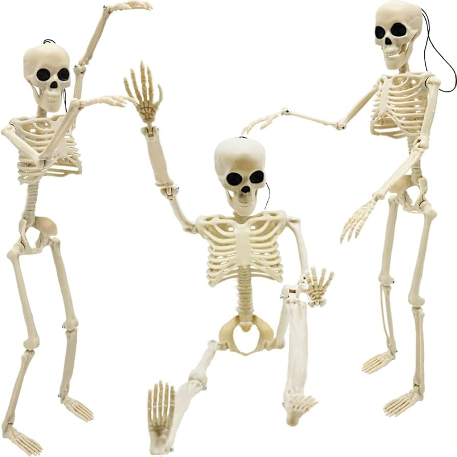 CAMIRUS Halloween Skeleton Decorations, 16" Full Body Plastic Skeleton Posable Joints for Skeleto... | Amazon (US)