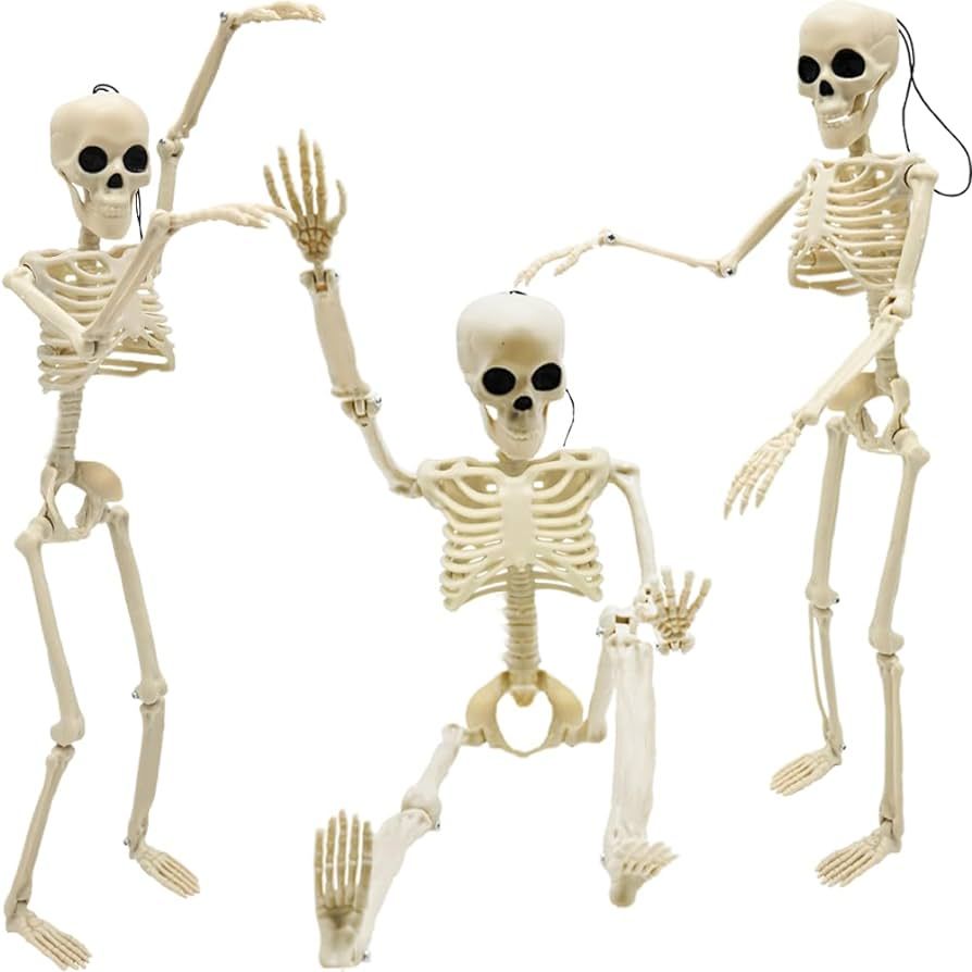 Halloween Skeleton Decorations, 16" Full Body Plastic Skeleton Posable Joints for Skeleton Hallow... | Amazon (US)