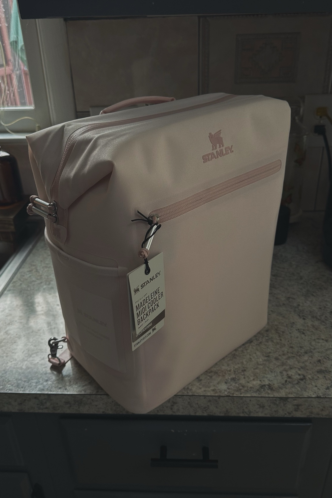 Perfect backpack cooler for spring & summer / trips!🩷

#LTKGiftGuide #LTKSeasonal