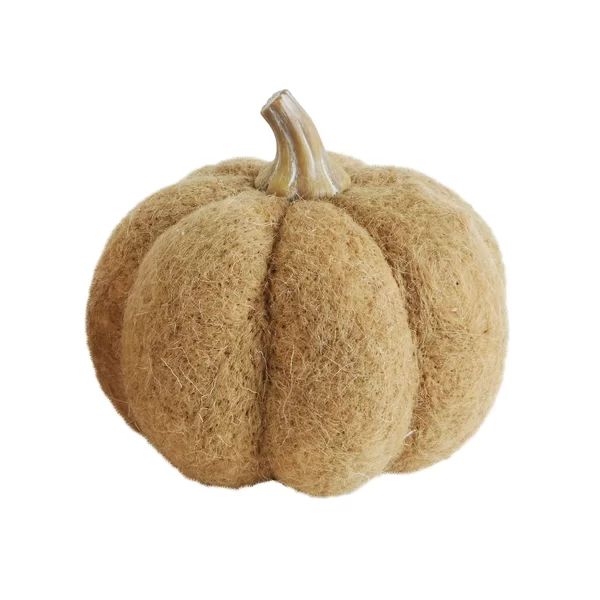 Wool Pumpkin with Resin Stem | Wayfair North America