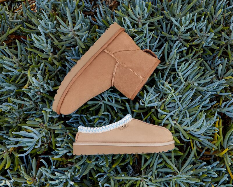 Tazz Pridepop | UGG (US)