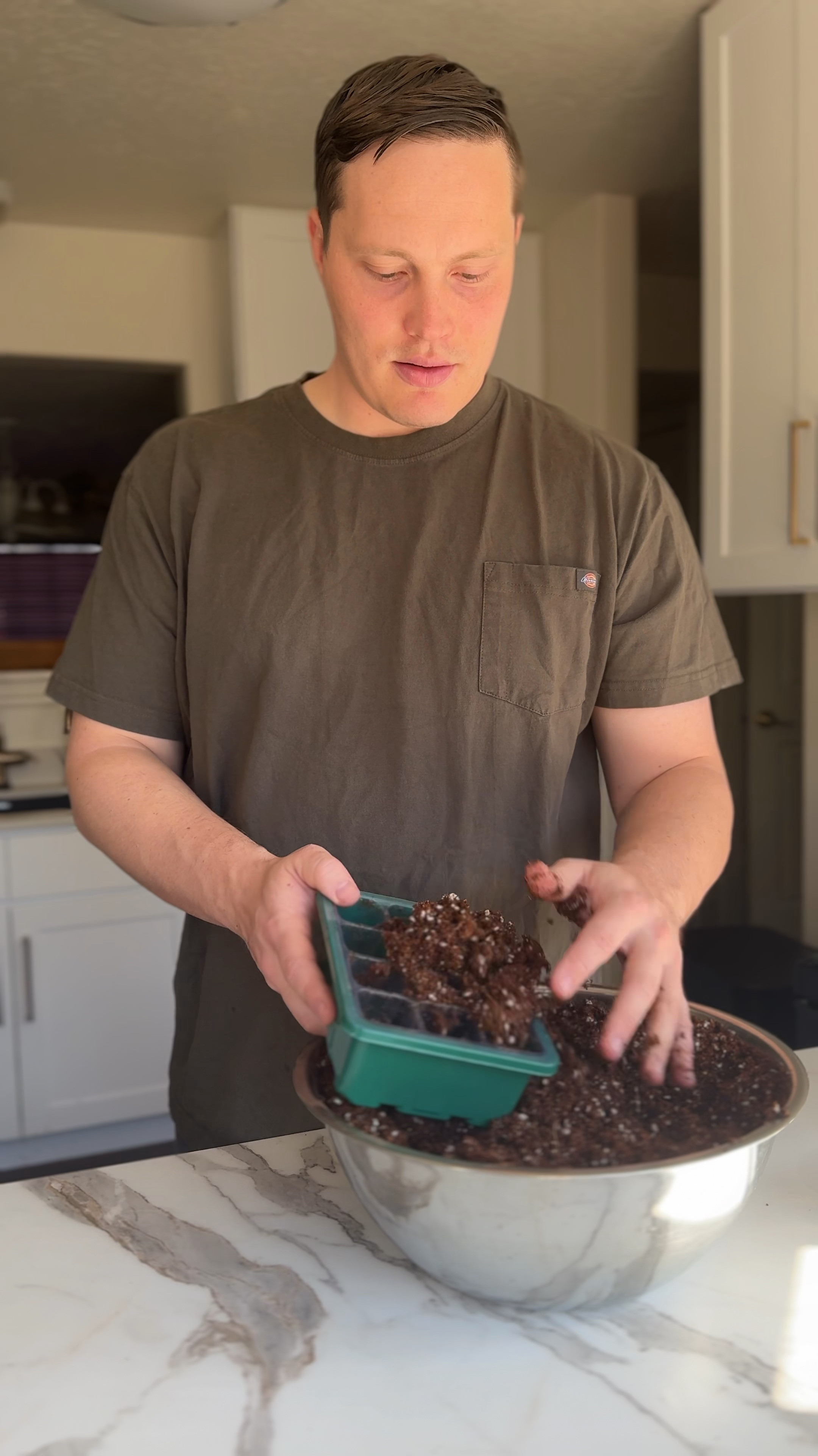 Seed tray + grow lights to start your own seeds!