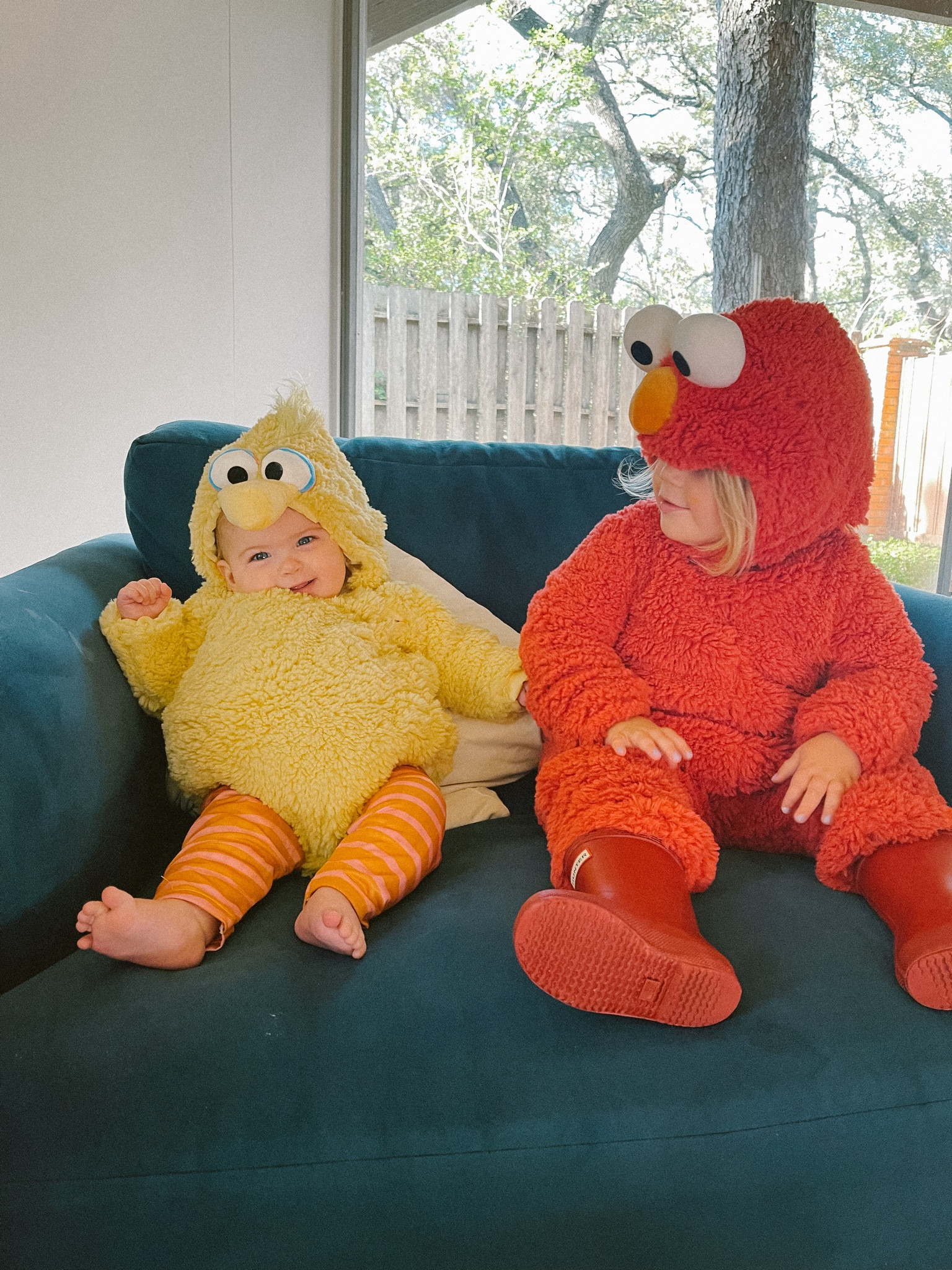Sesame Street Halloween costumes toddler and baby Elmo and Big Bird

#LTKBaby #LTKKids #LTKSeasonal
