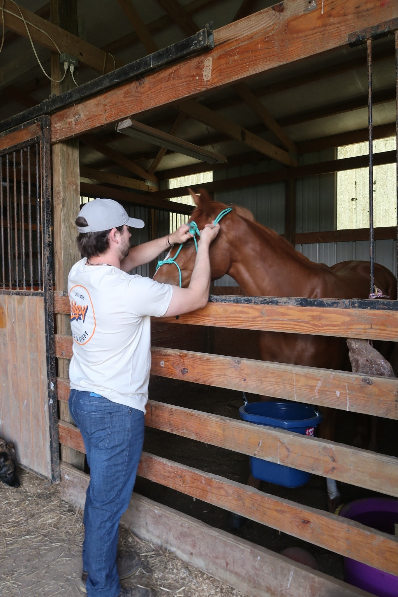 Mugsy Jeans! Soft like sweatpants but looks good enough for all day wear! Making chandler relearn how to tie a rope halter 😂

#LTKdayinmylife #LTKootd #LTKMens