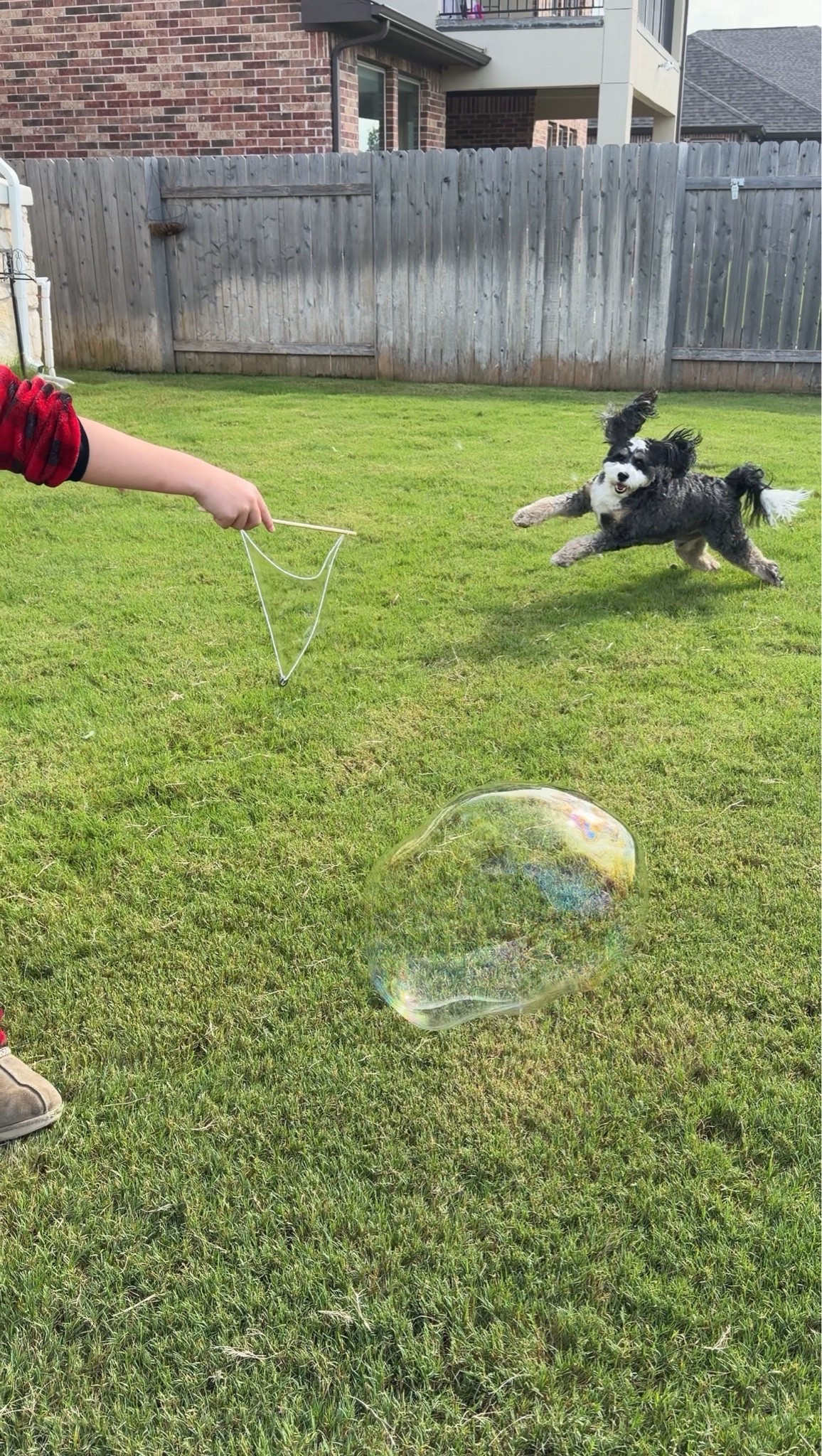 Dog safe giant bubbles

#LTKHome #LTKActive #LTKmomlife