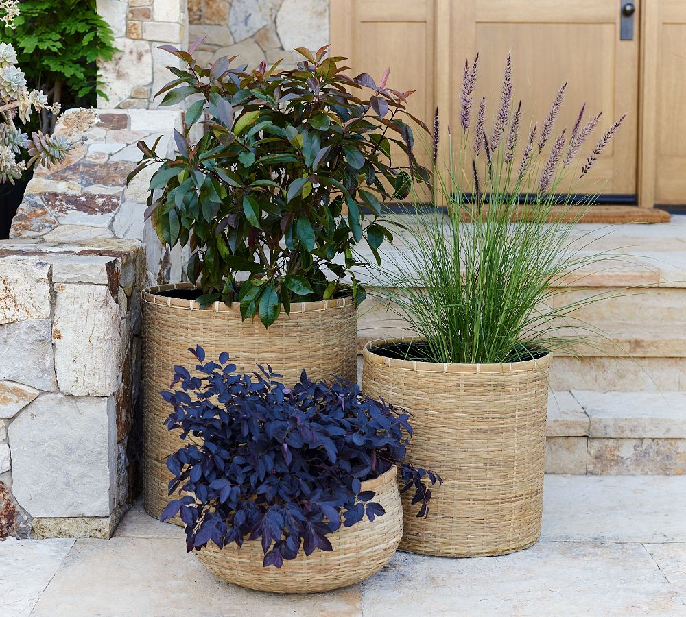 Estelle Handwoven Planter | Pottery Barn (US)