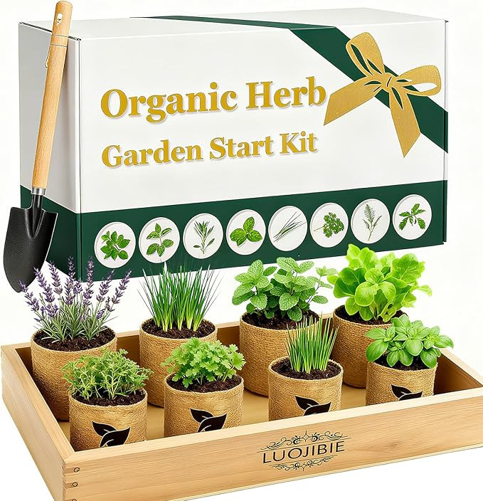 Organic Indoor Herb Garden Start Kit - Unique Gifts for Women, Christmas Gifts for Adults, Easy H... | Amazon (US)
