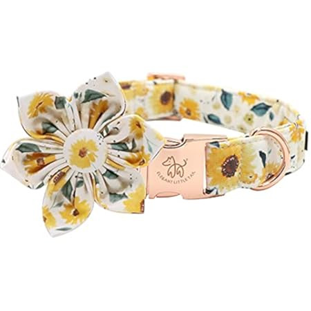 Dog Collar with Flower for Girl Dog,Puppy Dog Collar Cute Girl Dog Collars with Safety Metal Buckle  | Amazon (US)