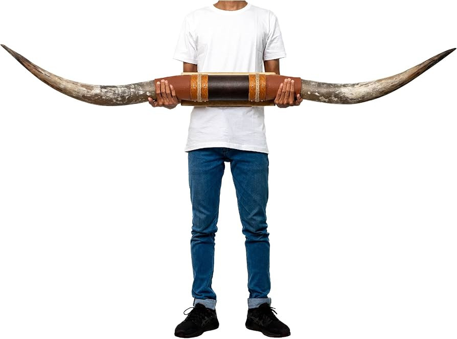 Skull Bliss - Authentic Real Bull Longhorn/Brown Leather Horn Mount - Steer Horns/Unique Wall Han... | Amazon (US)
