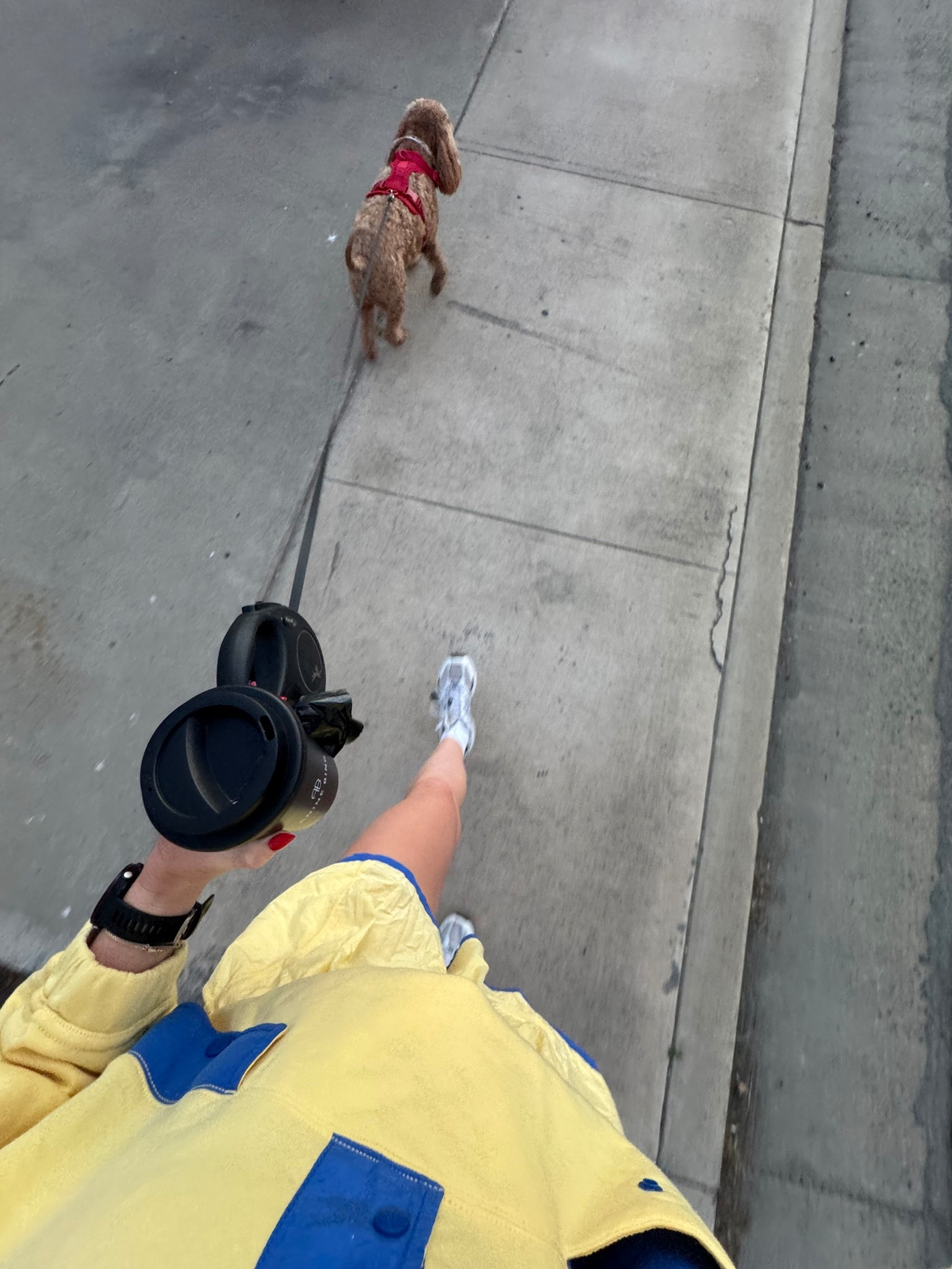 Morning walks!! 

#LTKdayinmylife #LTKActive