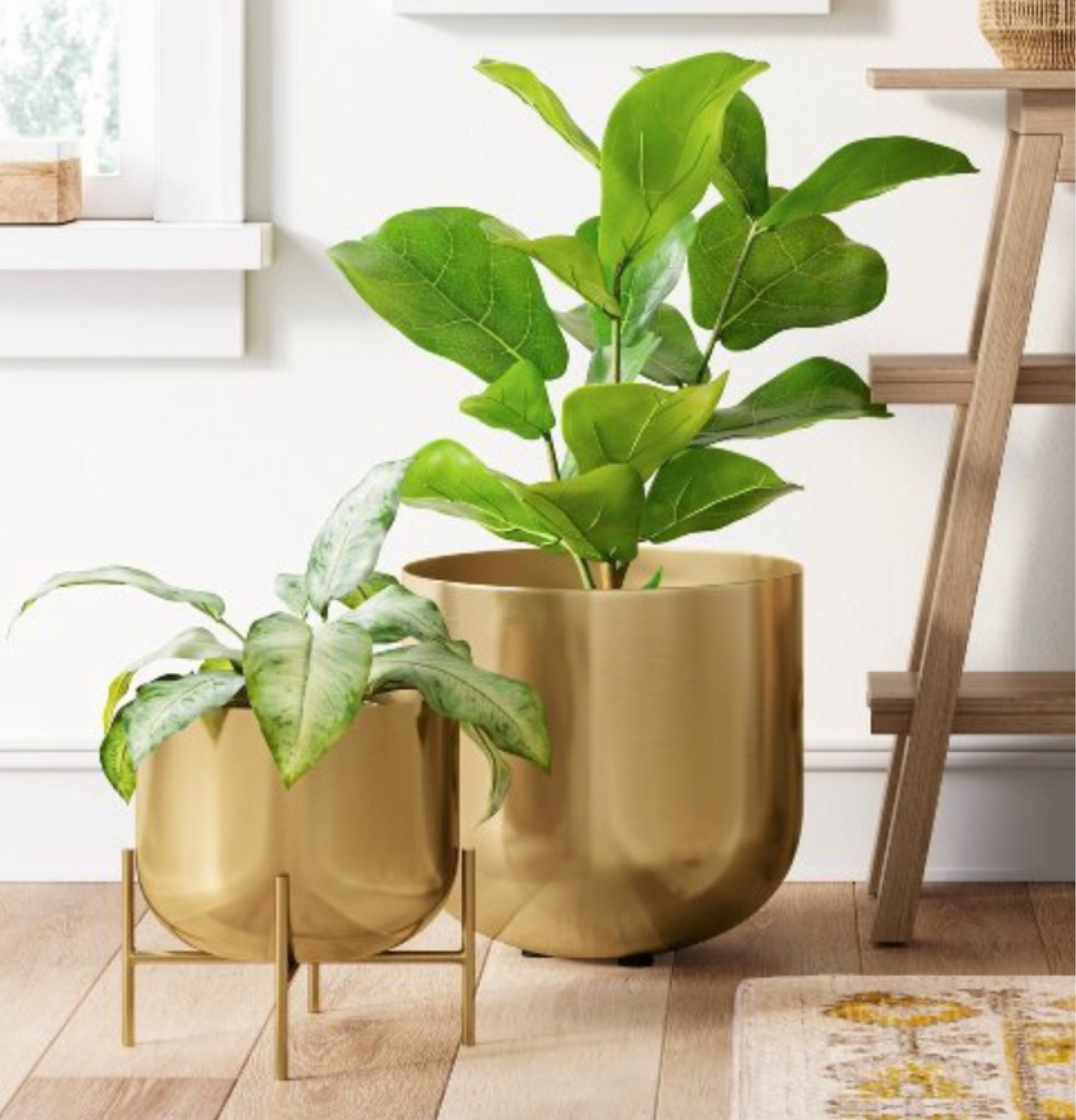 Planter pots at target. Currently 30% off!

#target #targetfind #home #homedecor #plants

#LTKhome #LTKfindsunder50 #LTKSeasonal
