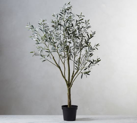 Faux Potted Olive Tree, Large | Pottery Barn (US)
