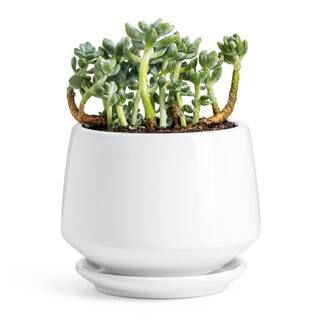 5.9 in. Ceramic Plant Pot with Drain Hole and Saucer | The Home Depot