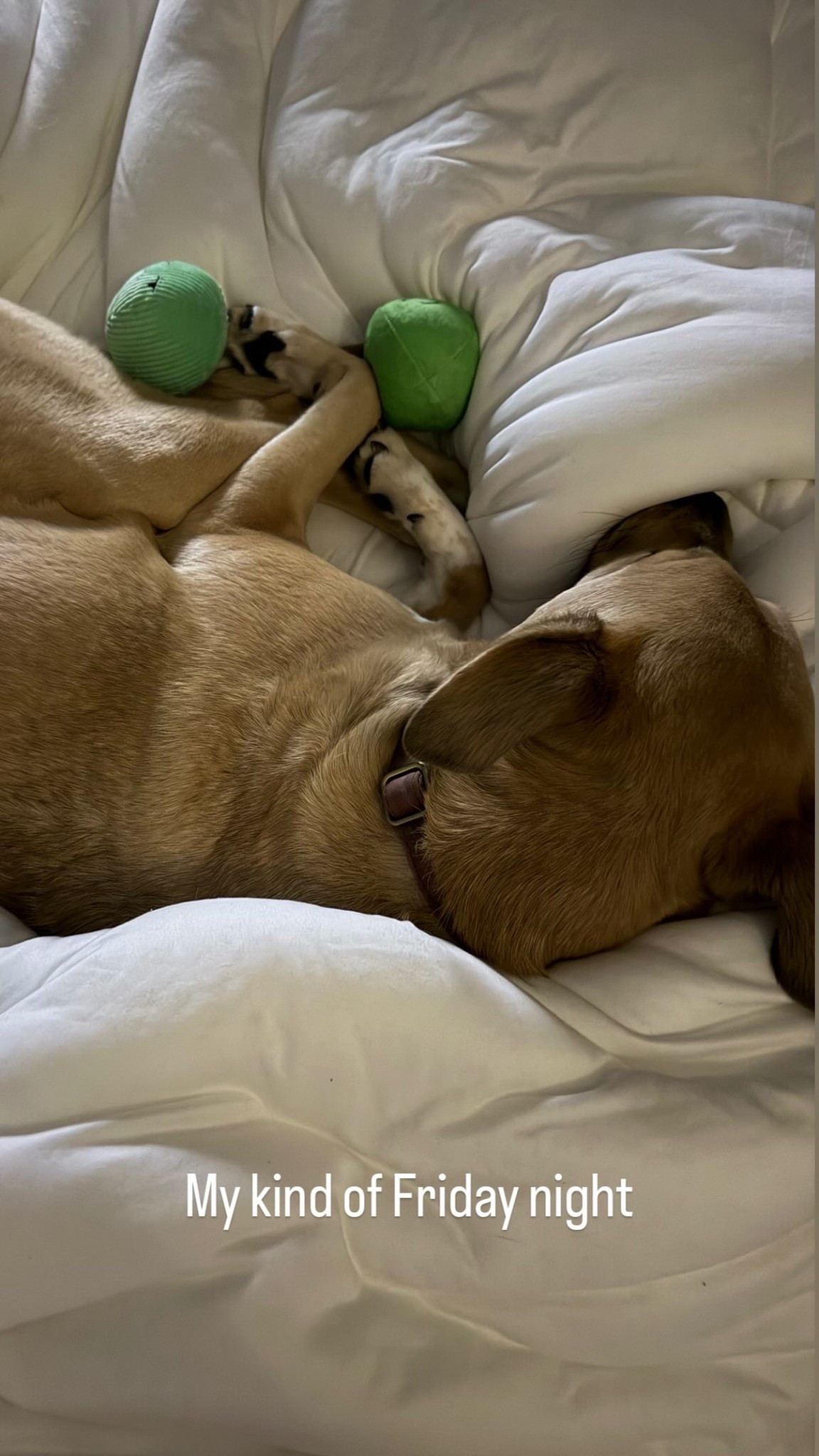 My kind of Friday night