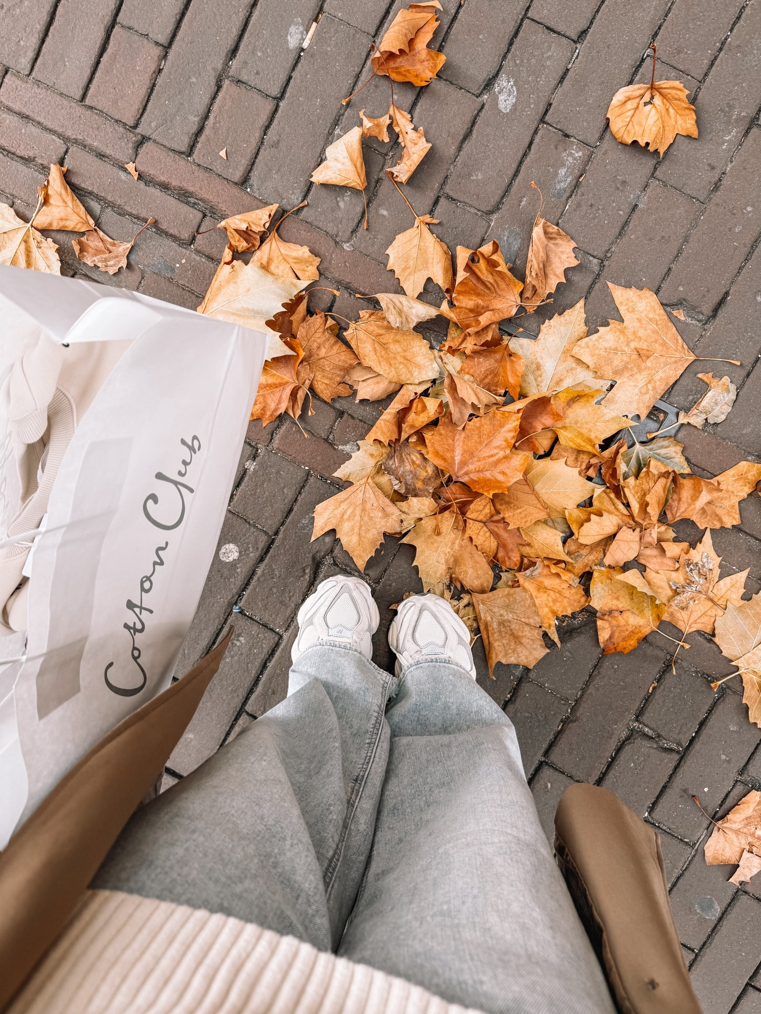 🍂🍁