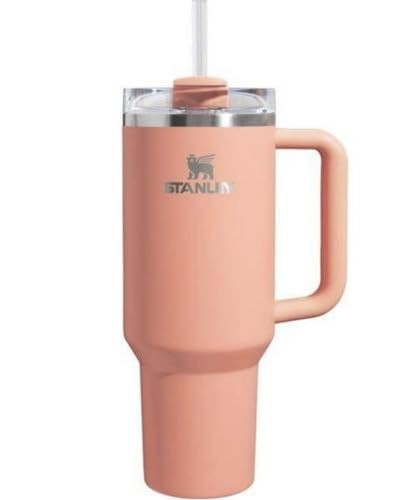 STANLEY 40 oz Stainless Steel H2.0 Flowstate Quencher Tumbler (Melon) | Amazon (US)