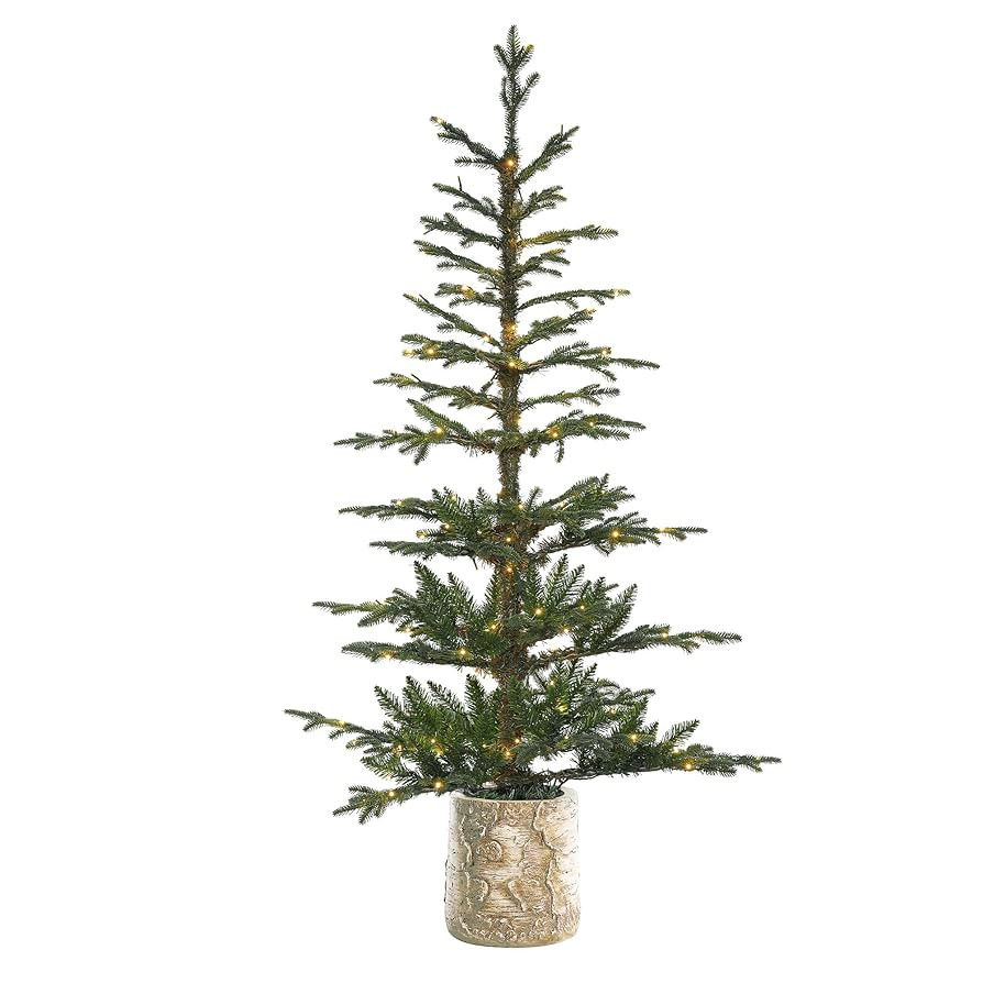 Haute Decor 5 Foot Pre-lit Timberland Fir Potted Christmas Tree | Amazon (US)