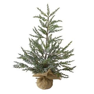 Northlight 2' Potted Iced Cedar Pine Medium Artificial Christmas Tree, Unlit | Michaels | Michaels Stores