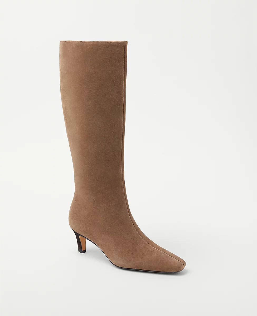 Skinny Heel Suede Tall Boots | Ann Taylor (US)