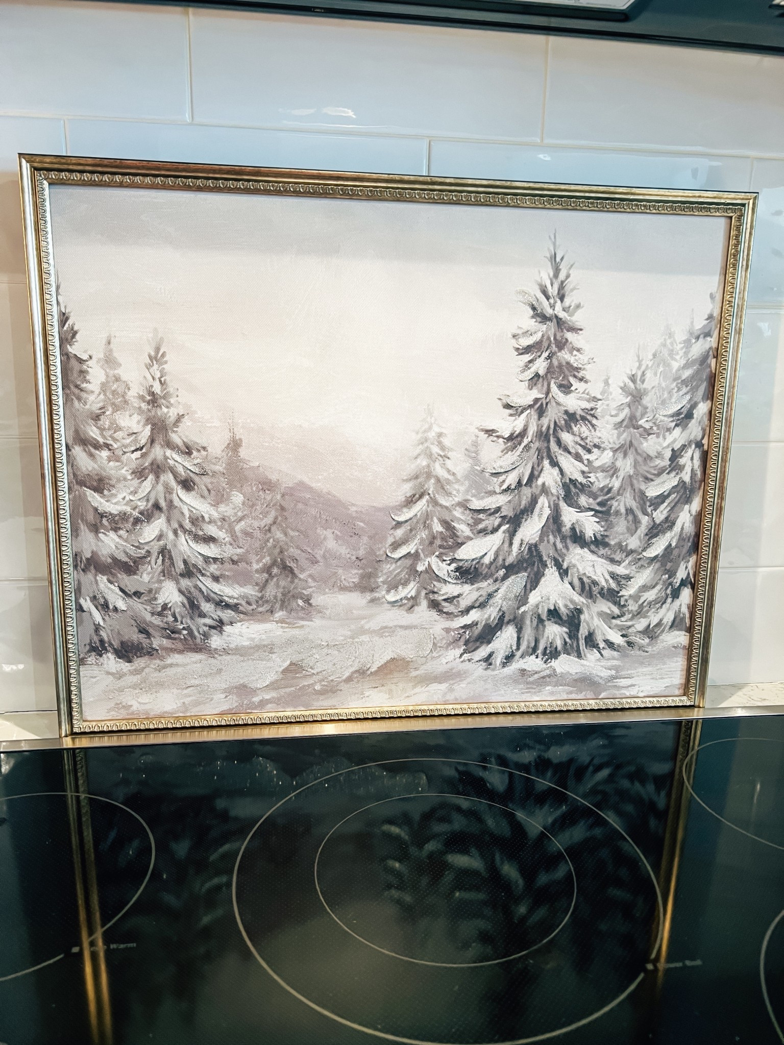 This picture is STUNNING and so big for only $20 !!! 🎄 

my texas house, Black Friday, Walmart, Walmart Christmas, Christmas decor

#LTKHome #LTKFindsUnder50 #LTKHoliday