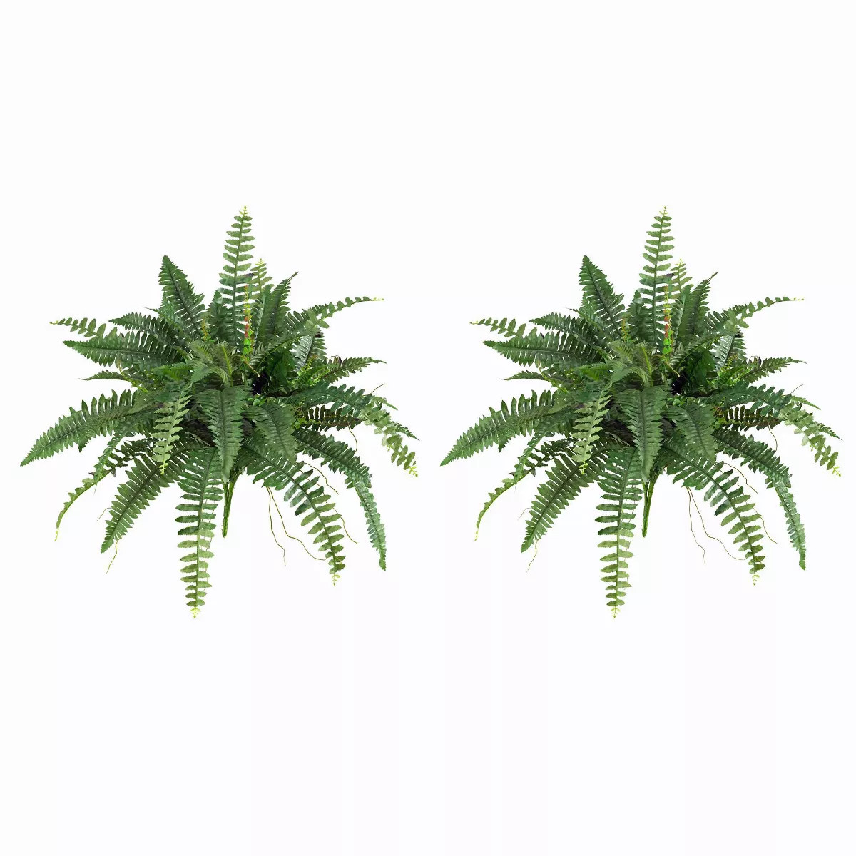 Boston Fern 2pk (40") - Nearly Natural | Target