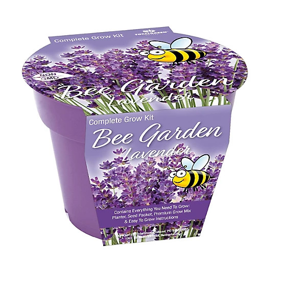 TotalGreen Holland  Pollinator Seed Grow Kits Lavender | Tractor Supply