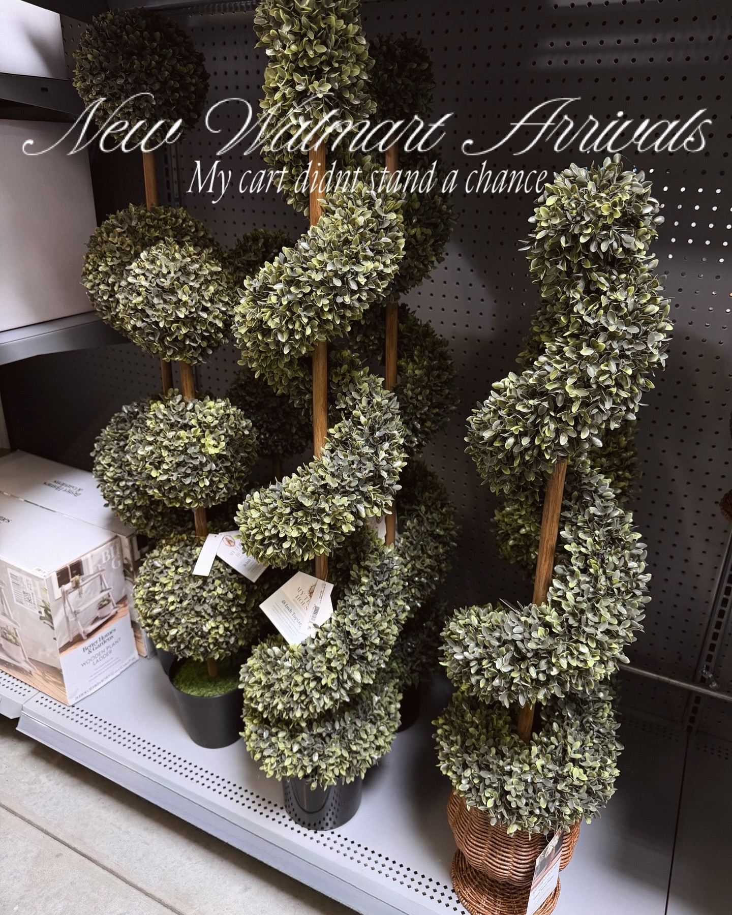 Walmart arrivals that I am loving ✨

#SpringDecor #Spring #SpringPorch #PorchDecor #Planters #SpringPlanters #Walmart #WalmartFinds #WalmartHome #WalmartSpring #WalmartEaster #EasterDecor #EasterBunny #Resortwear #Planter

#LTKHome #LTKSaleAlert #LTKSeasonal