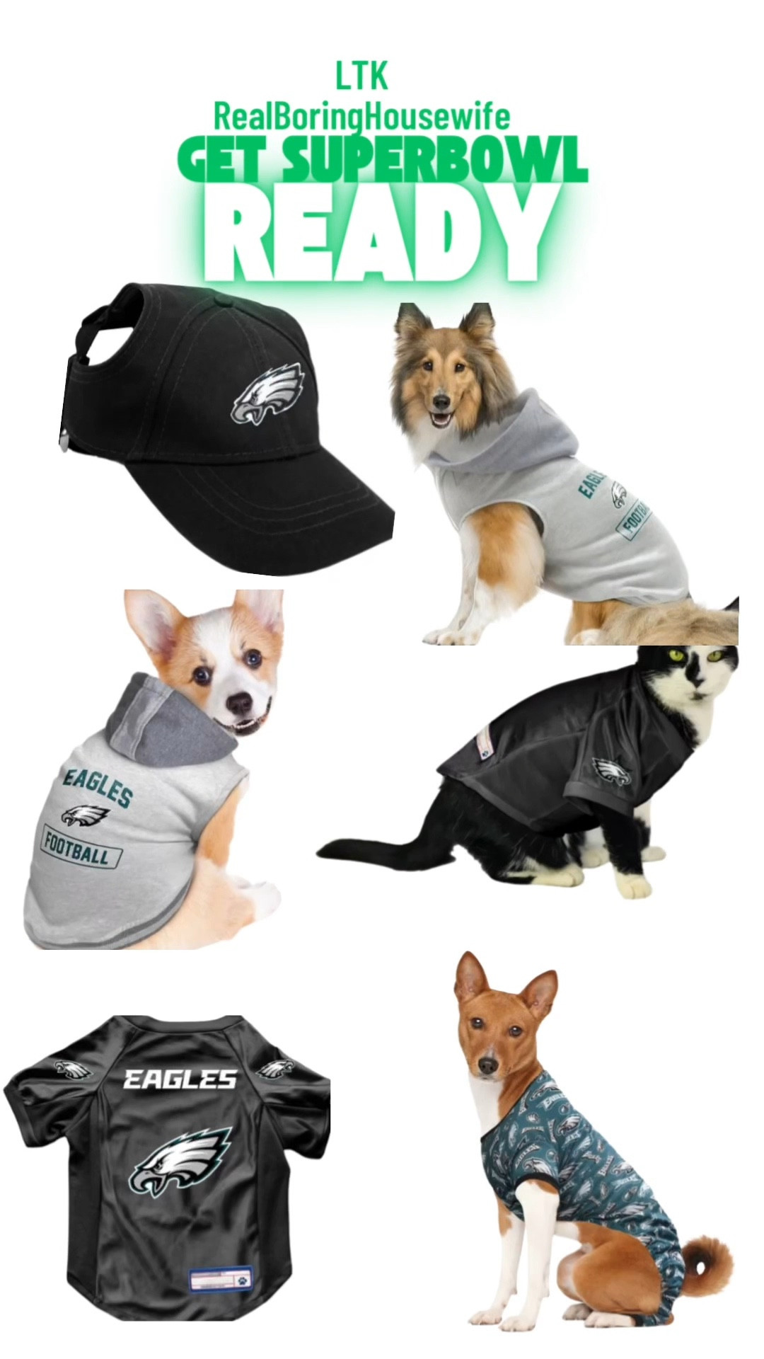 Who’s your dog or cat betting on to win? 🏈

Get your dogs and cats Super Bowl chic! 

#Superbowl

#LTKWatchNow