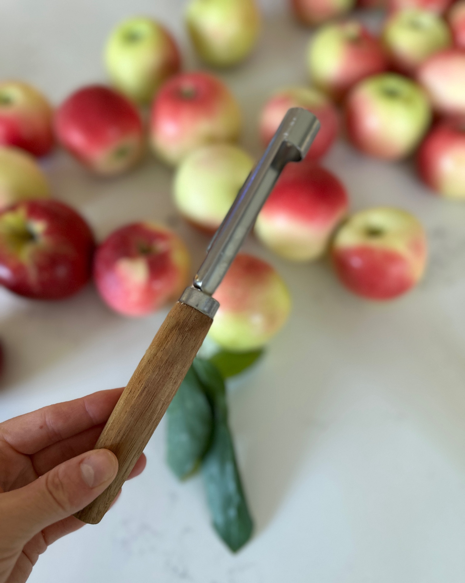 The best and prettiest apple corer 🍎🍎 A must have for all the fall apple recipes! 

#LTKhome #LTKSeasonal #LTKFind