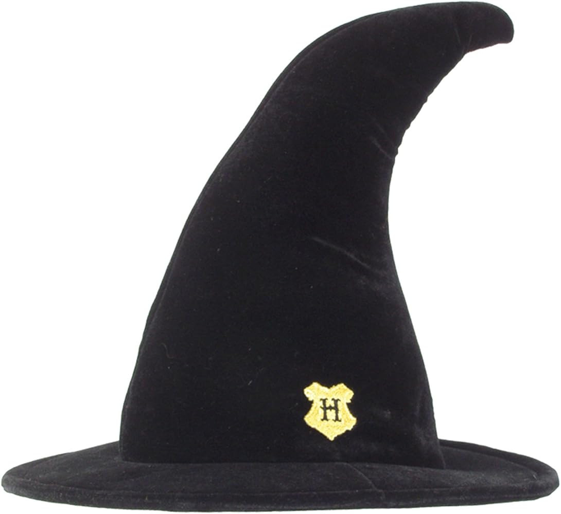 Harry Potter Hogwarts House Student Deluxe Costume Hat | Amazon (US)