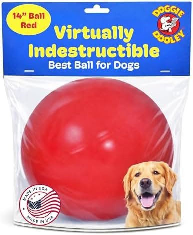 Doggie Dooley Virtually Indestructible Dog Ball - 14 Inch Hard Plastic Interactive Dog Toy for La... | Amazon (US)