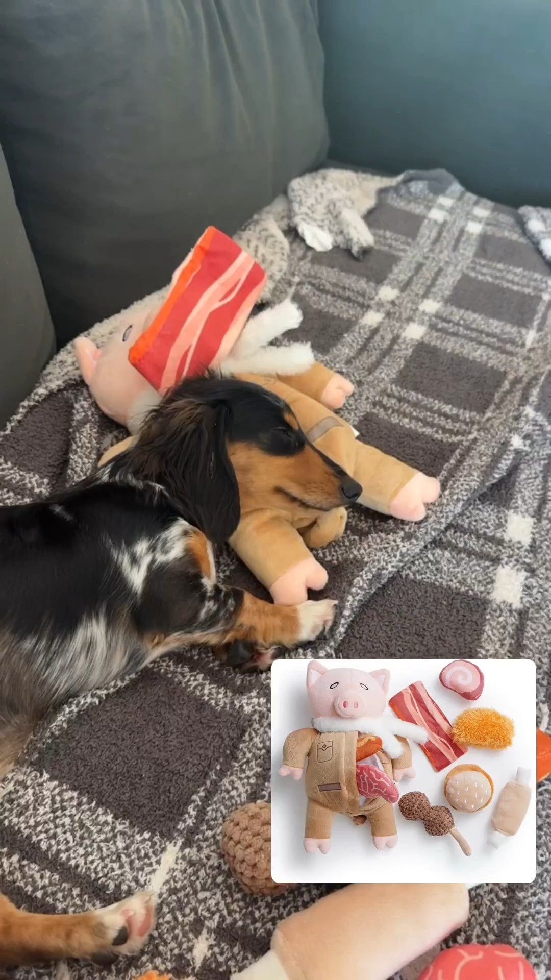 If you have a small dog, then this toy is a must. I bought it after Shalia shared it and said that Coco loved it. 

#LTKFindsUnder50 #LTKSaleAlert #LTKPets