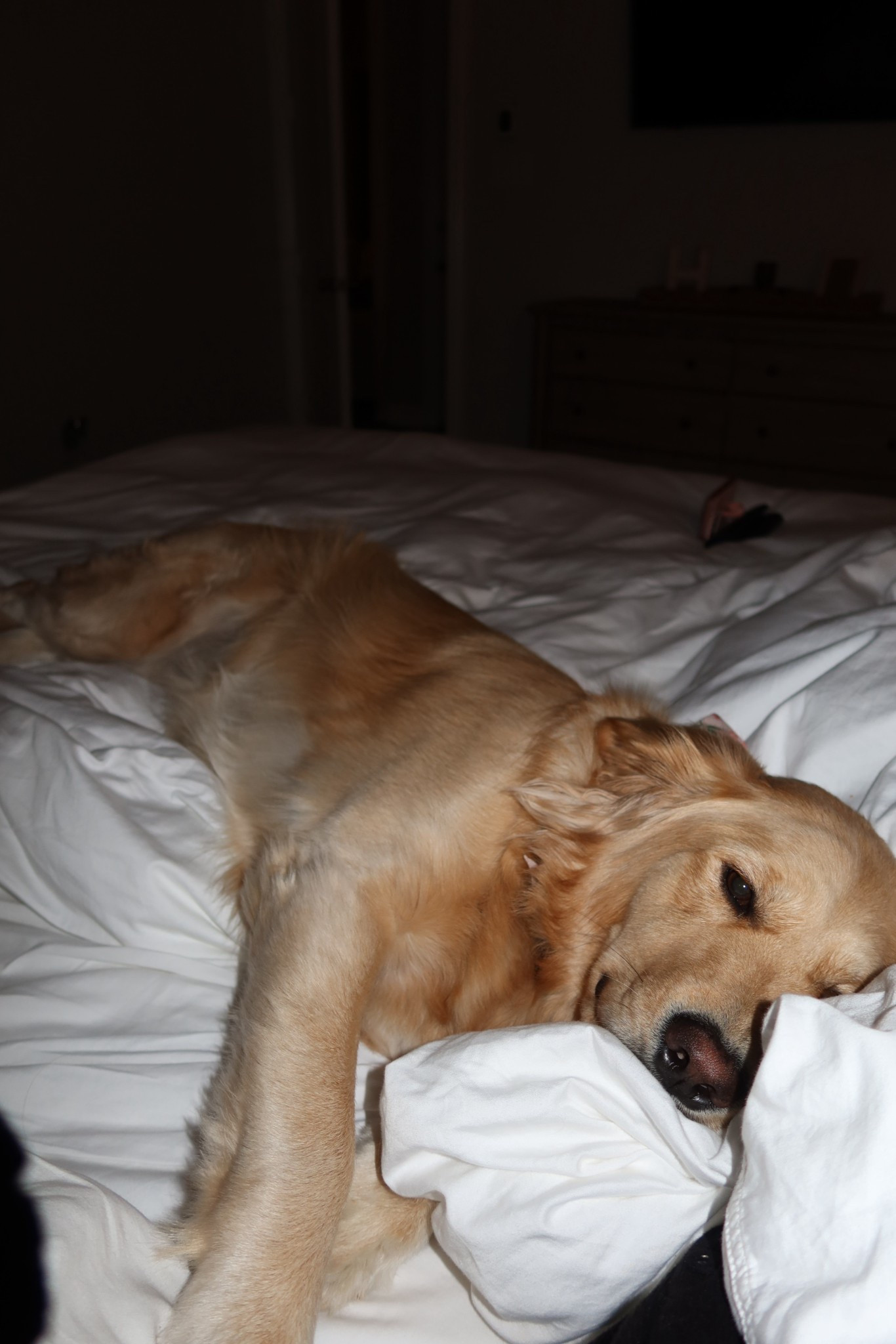 Cozy Posie. Kevin and I aren’t the only ones in love with our bedding. It truly doesn’t get better than Boll & Branch! Treat yourself with the gift of better sleep & get 15% off with code: BLAIRBOWMAN

#LTKselfcare #LTKHome