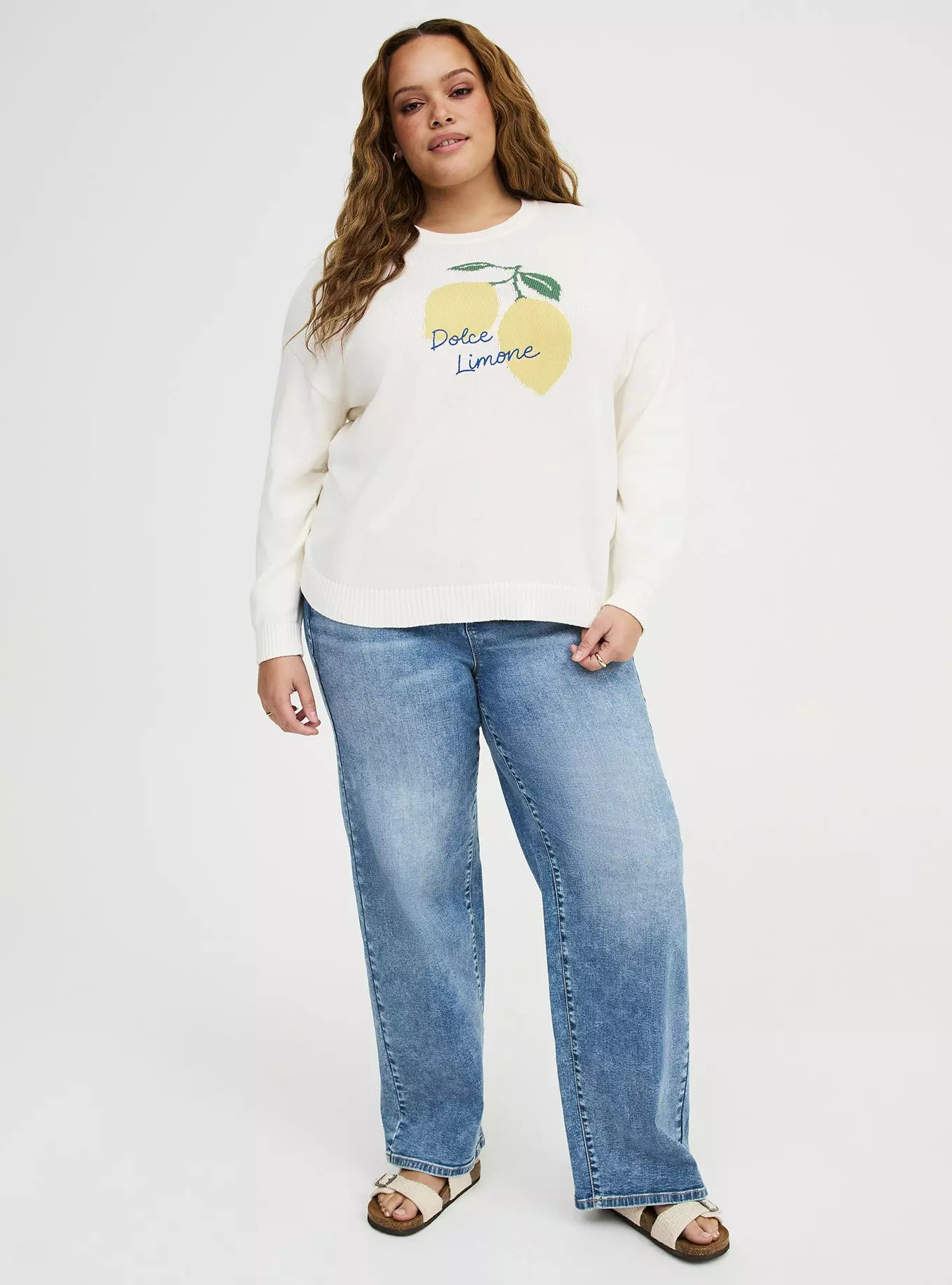 Crew Pullover Sweater | Torrid (US & Canada)