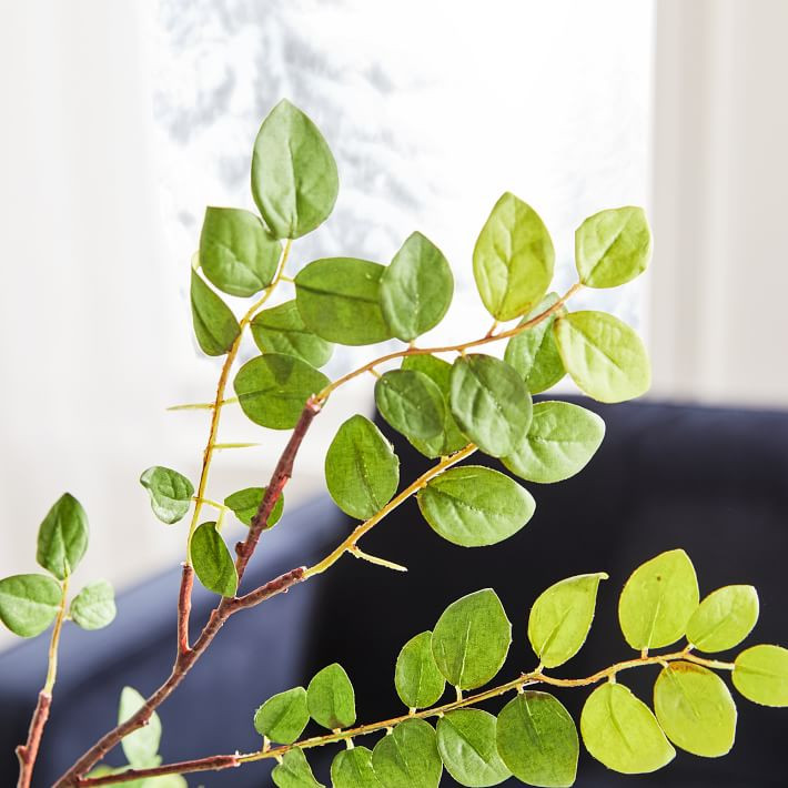 Faux Bean Leaf Branch | West Elm (US)