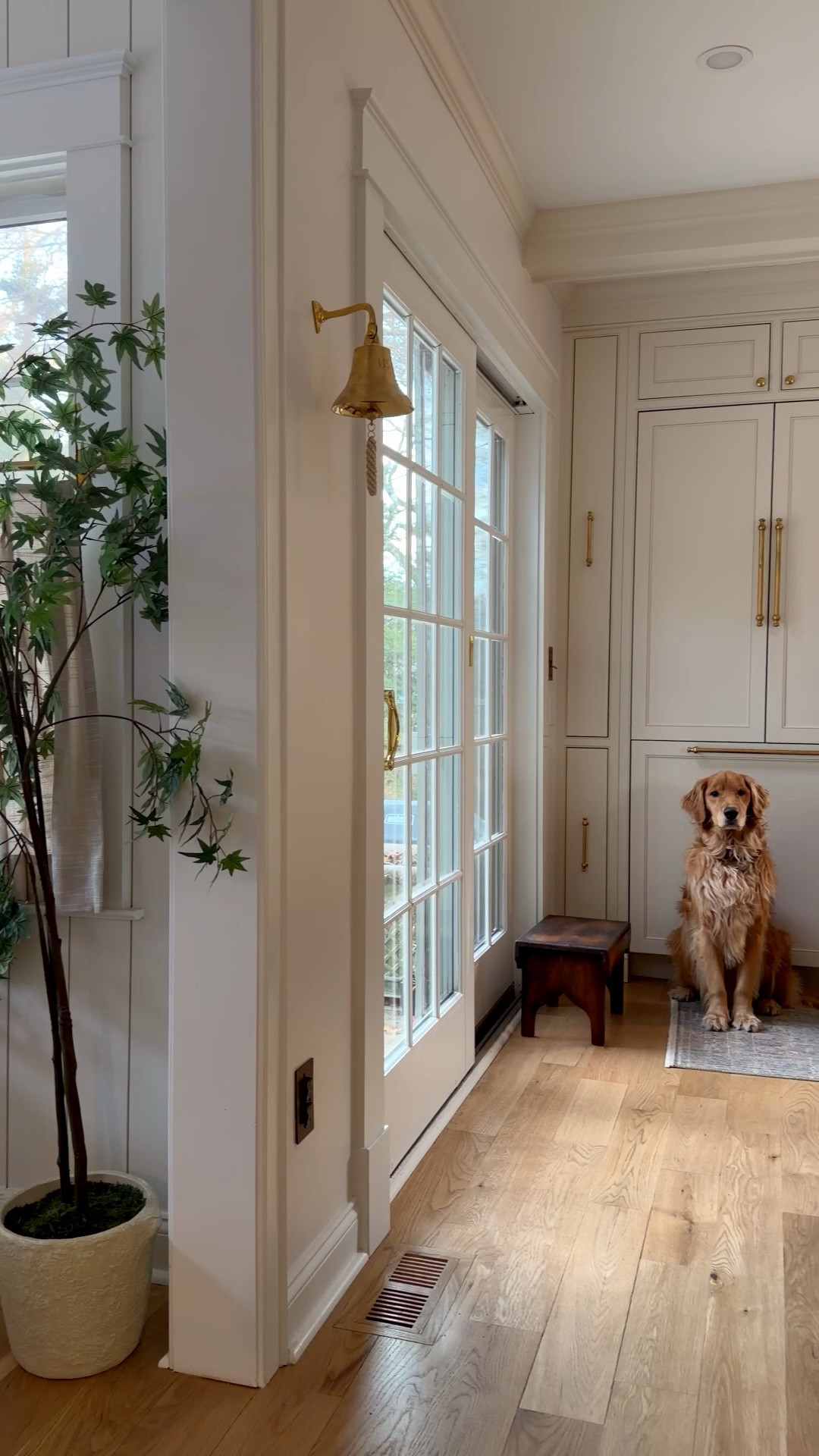 The sweetest greeting ✨ Some gather around the kitchen island, others prefer the fridge. He knows exactly where to wait, and I just had to share this very real routine moment 🤍 