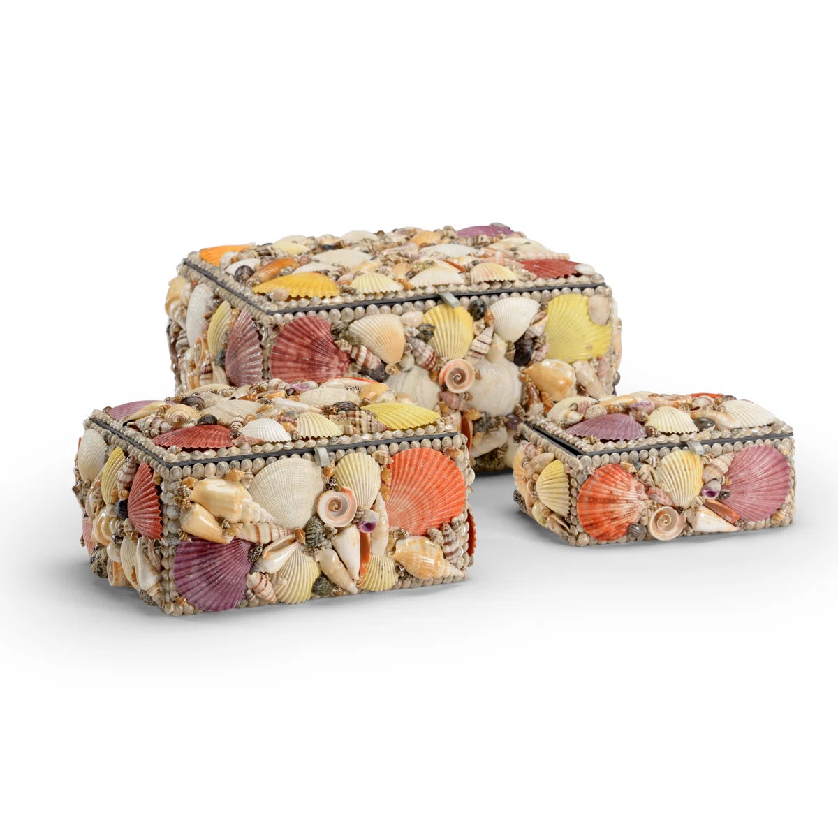 3 Piece Shell Decorative Box Set | Wayfair North America