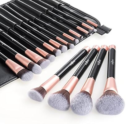 Makeup Brush Set, Anjou 16pcs Premium Cosmetic Brushes for Foundation Blending Blush Concealer Ey... | Amazon (CA)