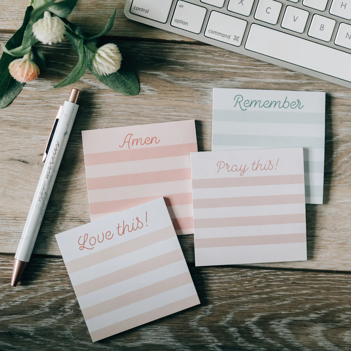 Bible Study Sticky Notes | The Daily Grace Co.