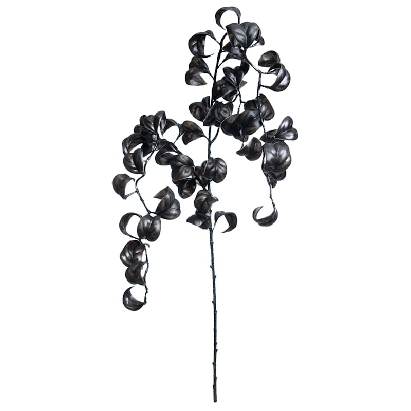 Southern Gothic Black Curly Leaf Hanging Spray, 37" | At Home