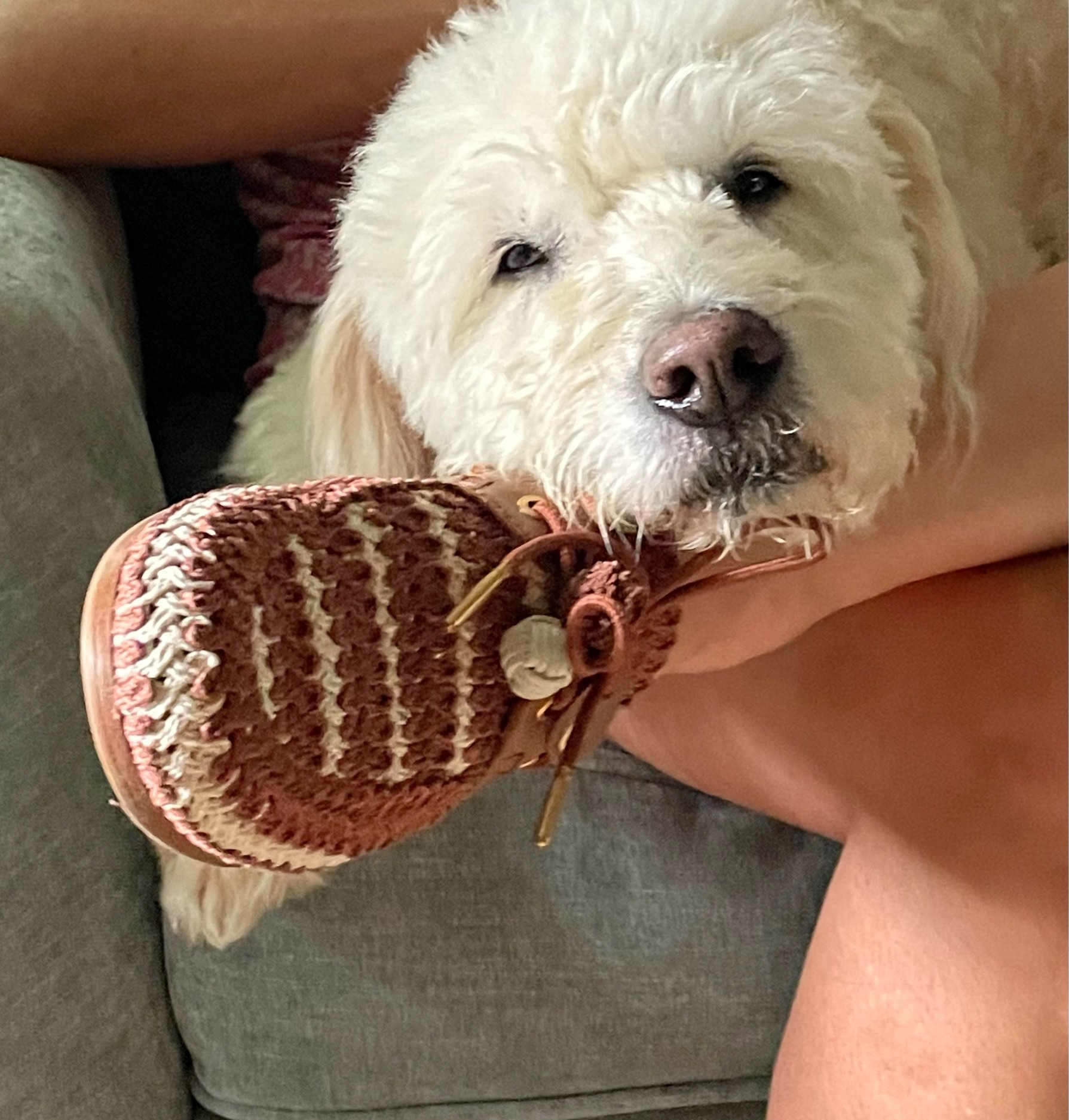 MEGA SALE ALERT ‼️ The moment you have been waiting for!! #Larroudé is offering their lowest prices ever. 

1 pair 50% off
2 pairs 70% off

I just received my crochet boat shoes and not sure who is more pleased, me or Charlie?

Discount is automatic on the site, no code required. Shop styles that rarely go on sale! 

They are just as gorgeous in person. Run slightly small, might want to half size up. 

Happy shopping! 
#larroudesale #boatshoes #shoesale

#LTKSeasonal #LTKActive #LTKSaleAlert