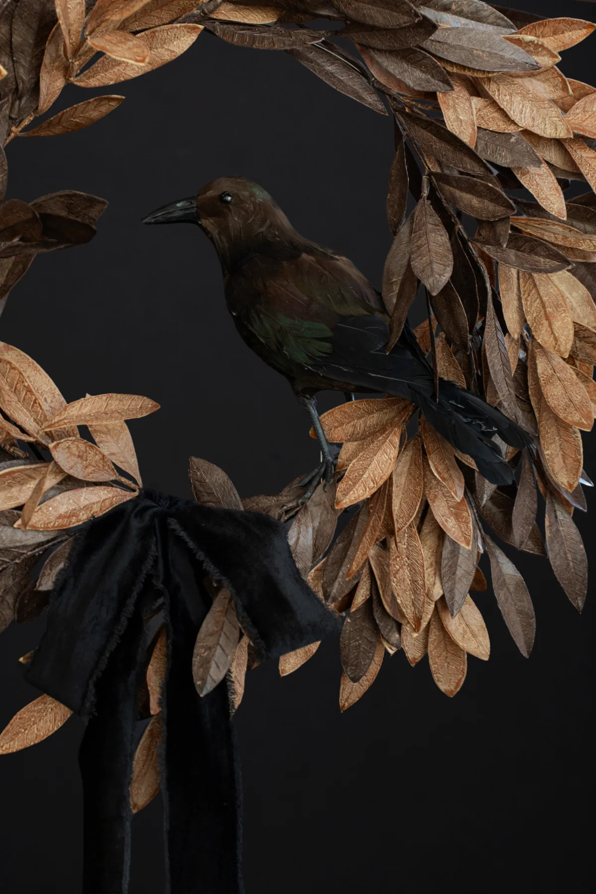 Feathered Crow | THELIFESTYLEDCO