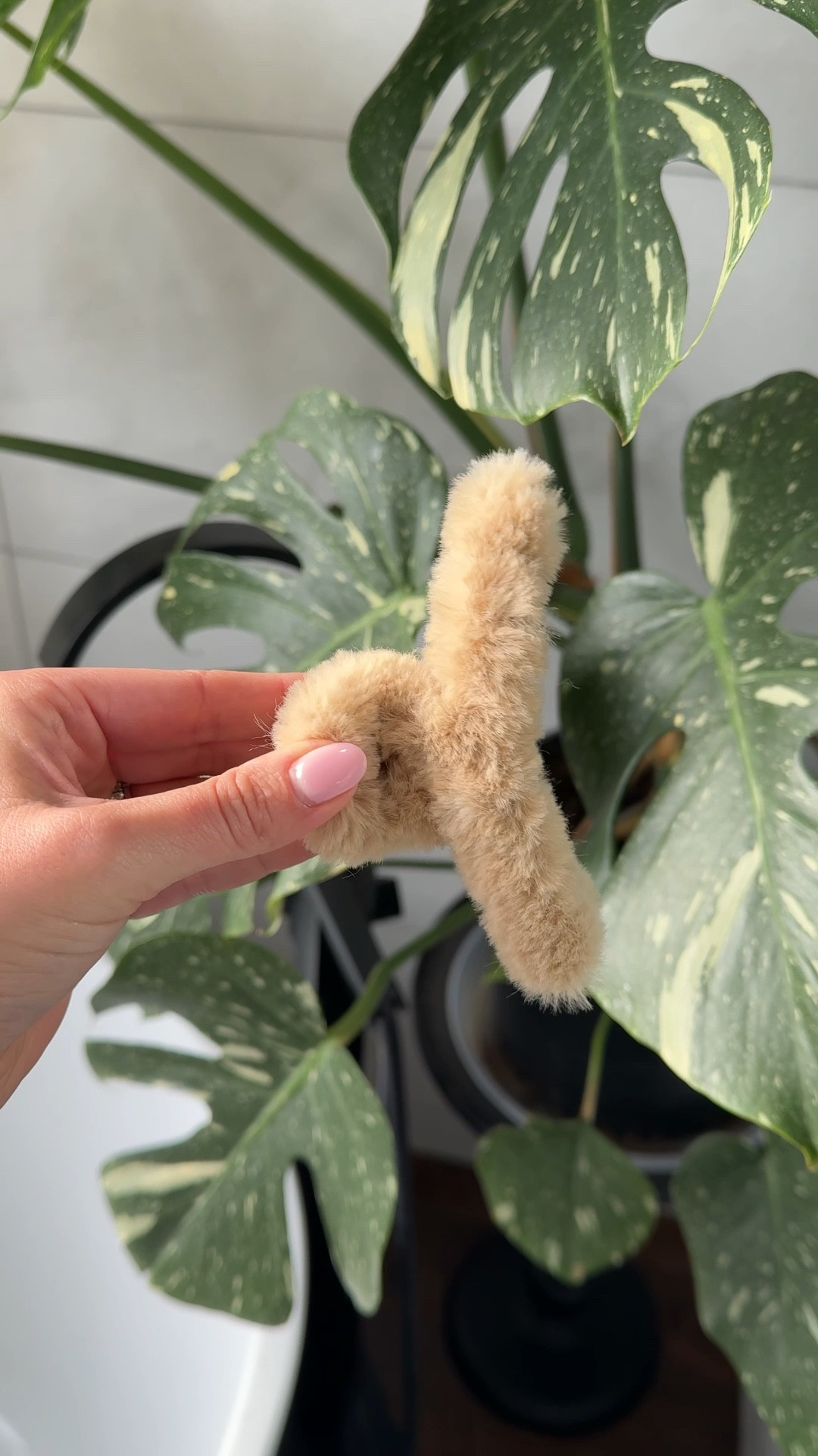 Fuzzy claw clip from Amazon 

#LTKBeauty #LTKFindsUnder50 #LTKWatchNow