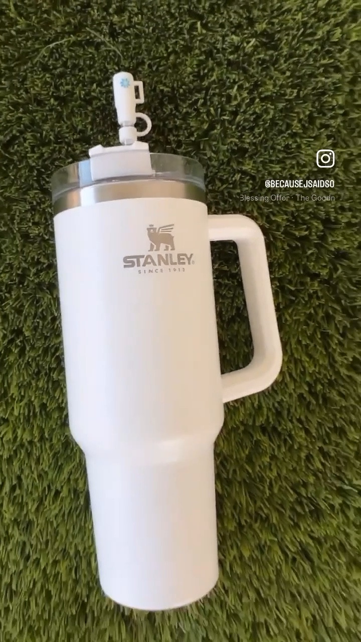 Astros Stanley lid topper