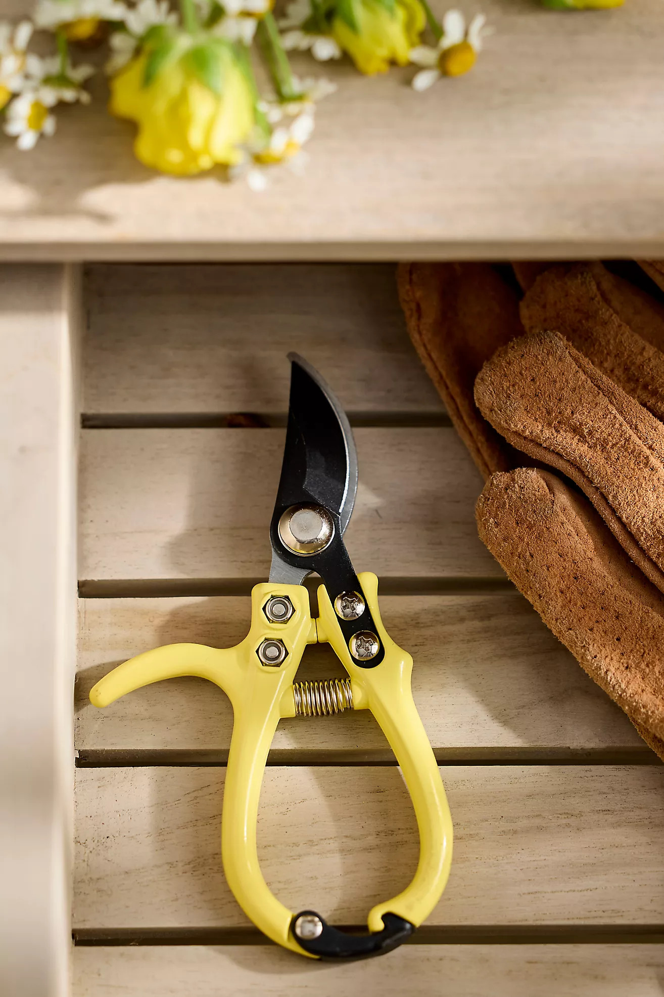 Pruning Shears | Terrain