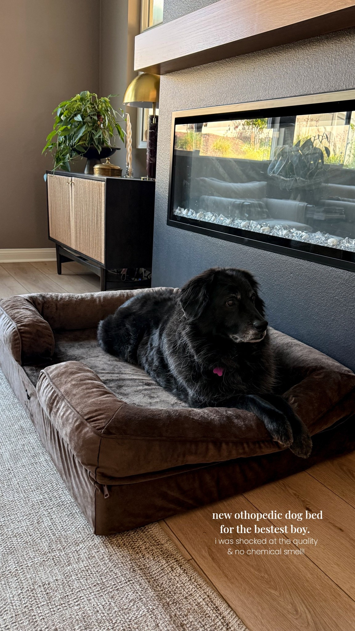 Rudy will be in his new orthopedic dog bed for the foreseeable future. it’s so hard seeing them slow down and turn grey. 

amazing quality dog bed, no chemical smells and super thick cushion! 

#LTKHome #LTKSaleAlert #LTKdayinmylife