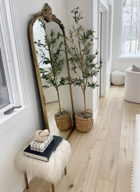 HOME \ living room 6’ faux olive tree from Walmart! Only $39!!

Decor
Floor mirror 

#LTKFindsUnder50 #LTKHome